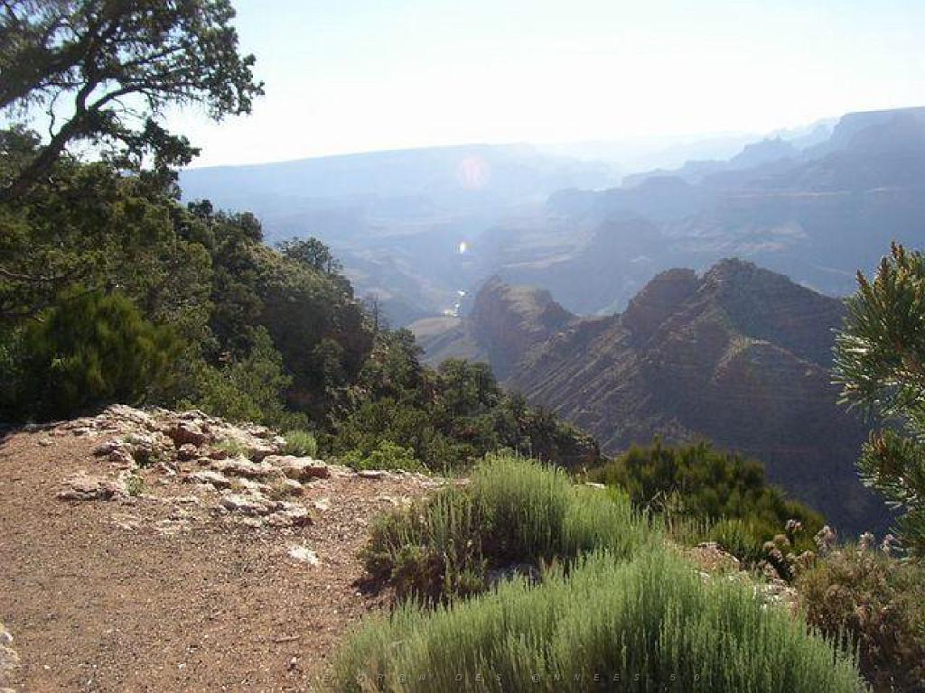 107  USA LE GRAND CANYON 2005_000032.jpg